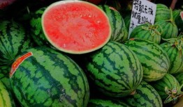 黑瓜吃料网 网红大瓜图片 瓜瓜基地,网红大瓜图片背后的瓜瓜基地探秘